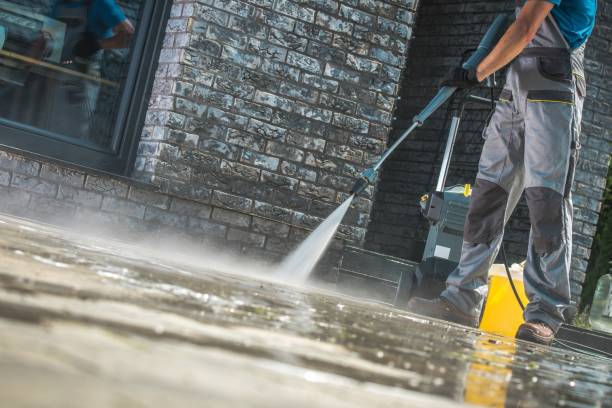 Best Pre-Holiday Cleaning  in Ampere North, NJ