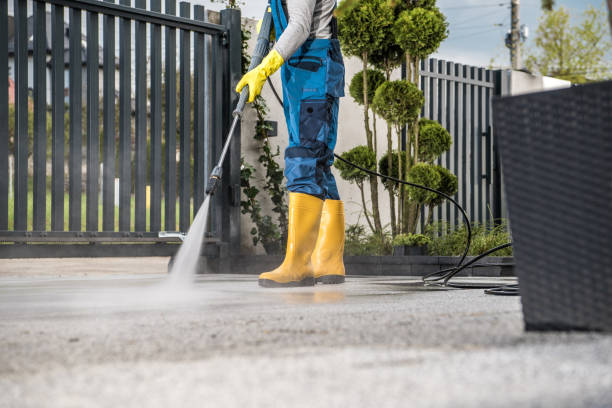 Best Driveway Pressure Washing  in Ampere North, NJ
